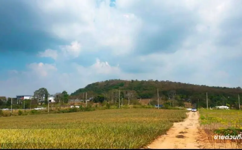 Big land for sale at Motorway 36 Outskirts Pattaya - Land -  - 